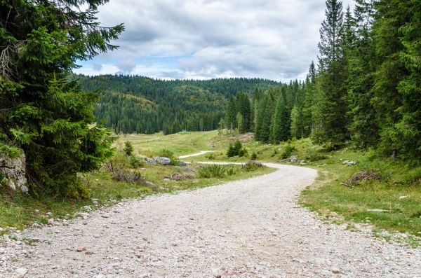 Gravel Road Grading in Redding