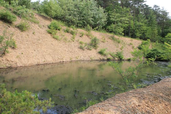 Cost of Pond Erosion Repair in Redding