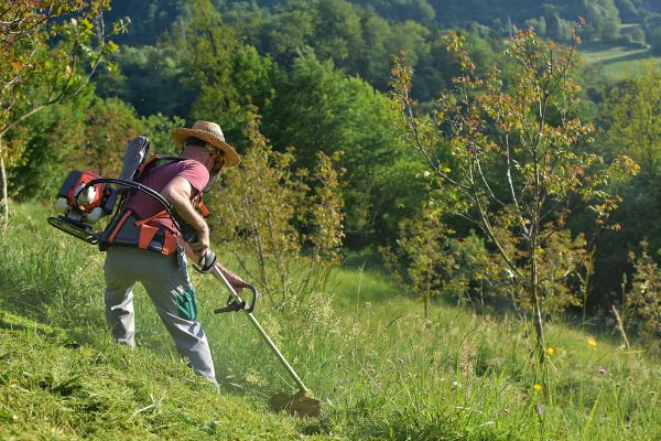 Cost of Slope Trimming in Redding